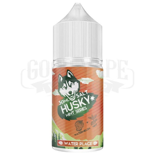 WATER PLACE 20мг STRONG HUSKY MINT SERIES SALT 30мл Жидкость