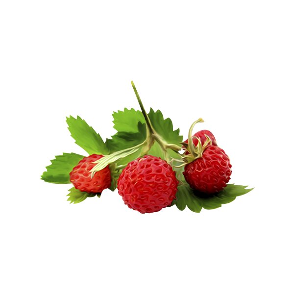 Земляника 10мл FruitAmira Ароматизатор